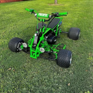 The Grinch MINI QUAD